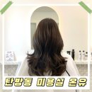 안진약품 | 대전 탄방동 미용실 온유(염색후기)