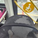 미관광장 | [ 강아지와 일산 나들이 ] 일산호수공원 미관광장 / 라페스타 &#39;왈왈이 애견카페&#39; 내돈내산 후기