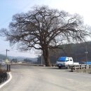 대전한옥학교