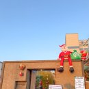 황제애견 | 부산 영도 맛집 몽작, 캠핑 즐기는 고기집 애견동반 가능한 곳