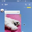 처갓집숯불돼지갈비 이미지