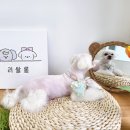 리쌀롱 이미지