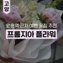 원흥역 예쁘고 감각 있는 꽃집/꽃가게 추천 &lt;프롬지아 플라워&gt;