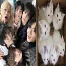 네모PC방 | 일기다섯장에사라진3월