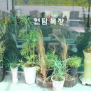 연담목장