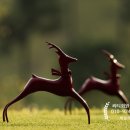 렉스필드 컨트리클럽 이미지