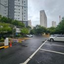 벨라 스킨 앤 바디 이미지