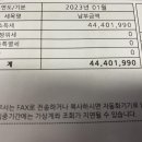 “올 4,800만원 손실났는데 이달 5천만원 세금” 금투세땐 1억 2천만원 낼판 - 매일경제 이미지