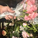춤추는머리나라 - 안산시 상록구 | [웨딩스냅]진짜 힘들지만 재밌고 만족스러운 무화과스냅, 윤슬헬퍼 후기(키노스튜디오, 노을공원 촬영)