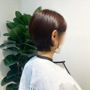 본 헤어 스튜디오