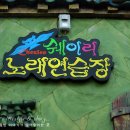 쉐이리노래연습장 이미지