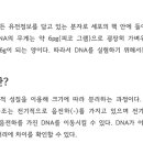 과학(전기)실험 이미지