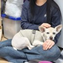 원투쓰리 | 22.12.03 좁은 원룸에서 4명 집들이 가능? 가능하더라 (원투쓰리 모임 후기)ㅋㅋ