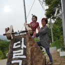 덕동달구지펜션 이미지