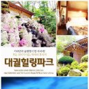 대궐힐링파크 Daum카페