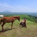 어둔목장 이미지