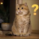 싱글벙글횟집 이미지