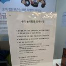 잉글리시에그 서대문센터 상담 및 체험수업 후기