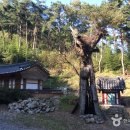 죽림암 이미지