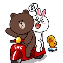 진샘코다리 이미지