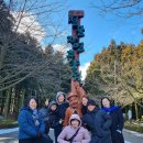 제주의 이유 | 제주도 미니버스 투어 선택 이유와 제주 여행 실제 이용 후기