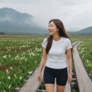 북유럽에안기다 | 일본 오제국립공원 닛코 커플 3박4일 트레킹 솔직후기
