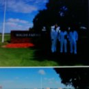 삼화축산 이미지