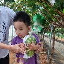 지훈농장 이미지