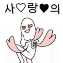 핀플레이 이미지