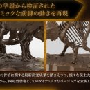 트리케라톱스-1 이미지