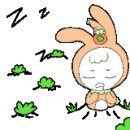 피우다;네일