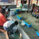 해남공원 이미지