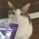 [영양제 리뷰] 본아페티 링츄 I.V. 조인트 관절 영양제리뷰