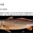 화씨낚시 이미지