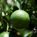 주연테크컴퓨터 이미지