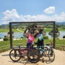 도담삼봉 자전거길 이미지