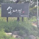 송다원 이미지