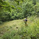 용전리 | 영덕 달산면 용전리 벌초대행 후기