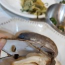 아지트(Agit) 이미지