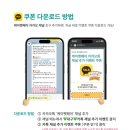반려동물의류및용품제작(야간) | 2025 케이펫페어 대구 후기 입장권 사전등록과 행사정보