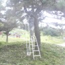 류가네농장 이미지