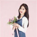 코티니 이미지