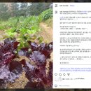 서울외국인학교 | 연희동 타비함박 (2026.04)