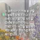 라피네플라워 이미지