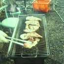 병서네 농장 네이버블로그