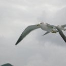 맑은환경 이미지