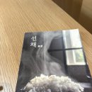 용산-342 | 용산 ‘선채’ 다녀온 후기