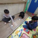 어린이 언플러그드 블록 코딩 이미지