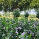 오천그린광장 이미지