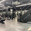 스테이 머스큘라 이미지